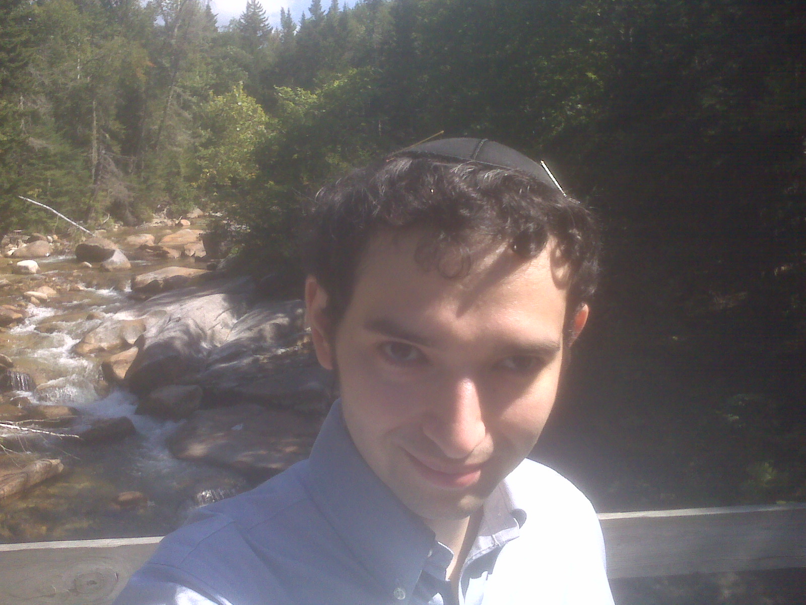 picture 15.